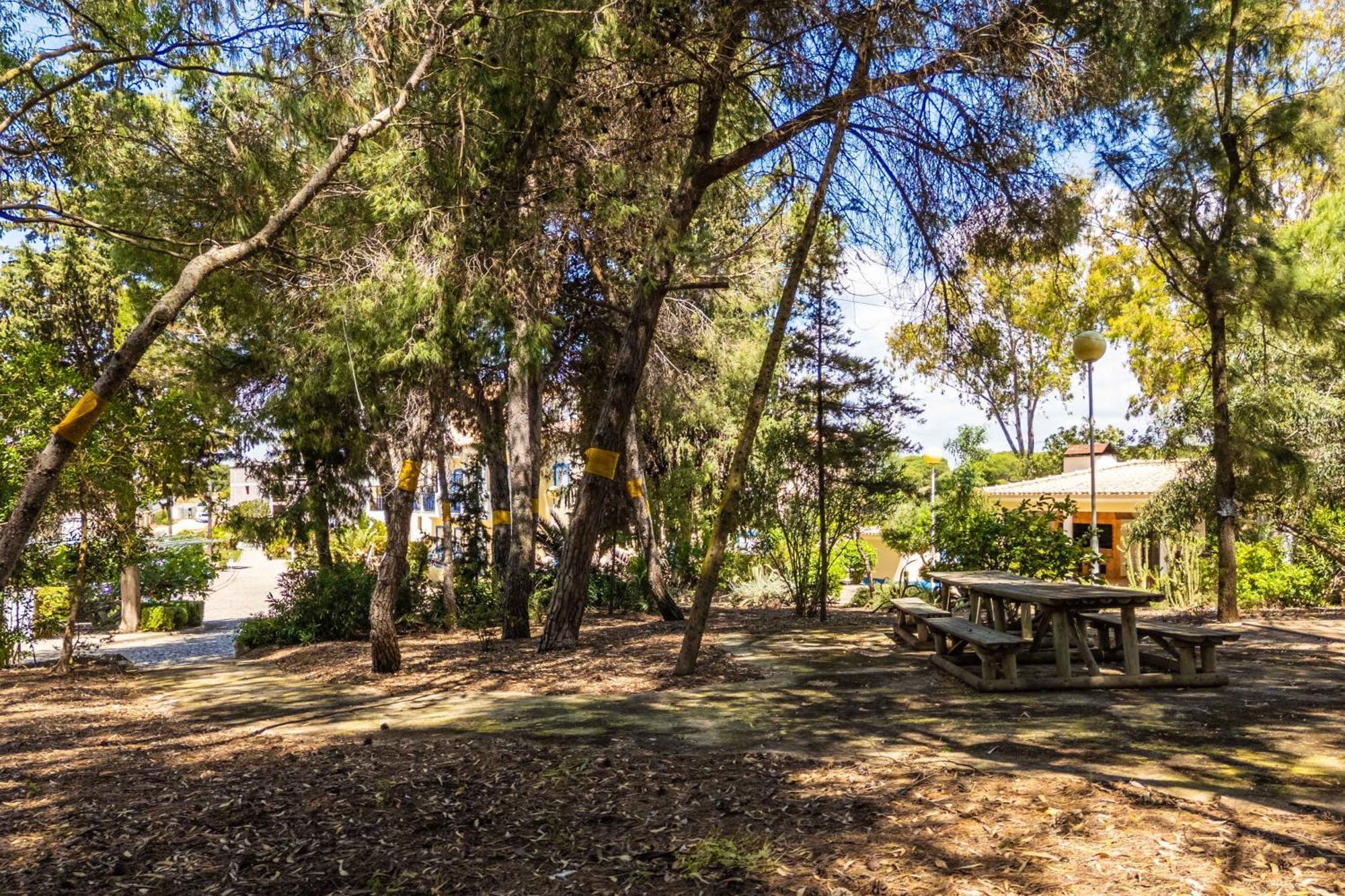 البوفيرا Apartamentos Bosque Sao Jose المظهر الخارجي الصورة